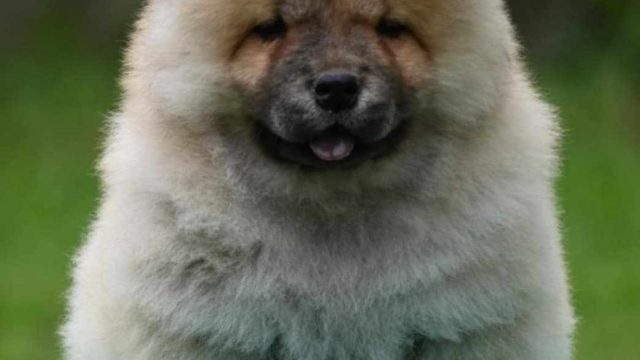 76a14ca2-2633-428c-88cf-debdbe89d667.jpeg