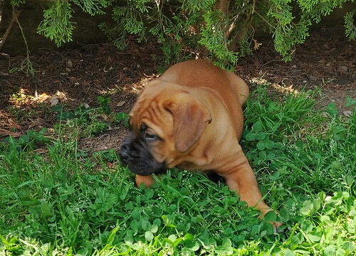 1000010269-manja