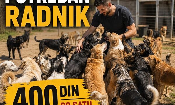 1-azil-M0626
