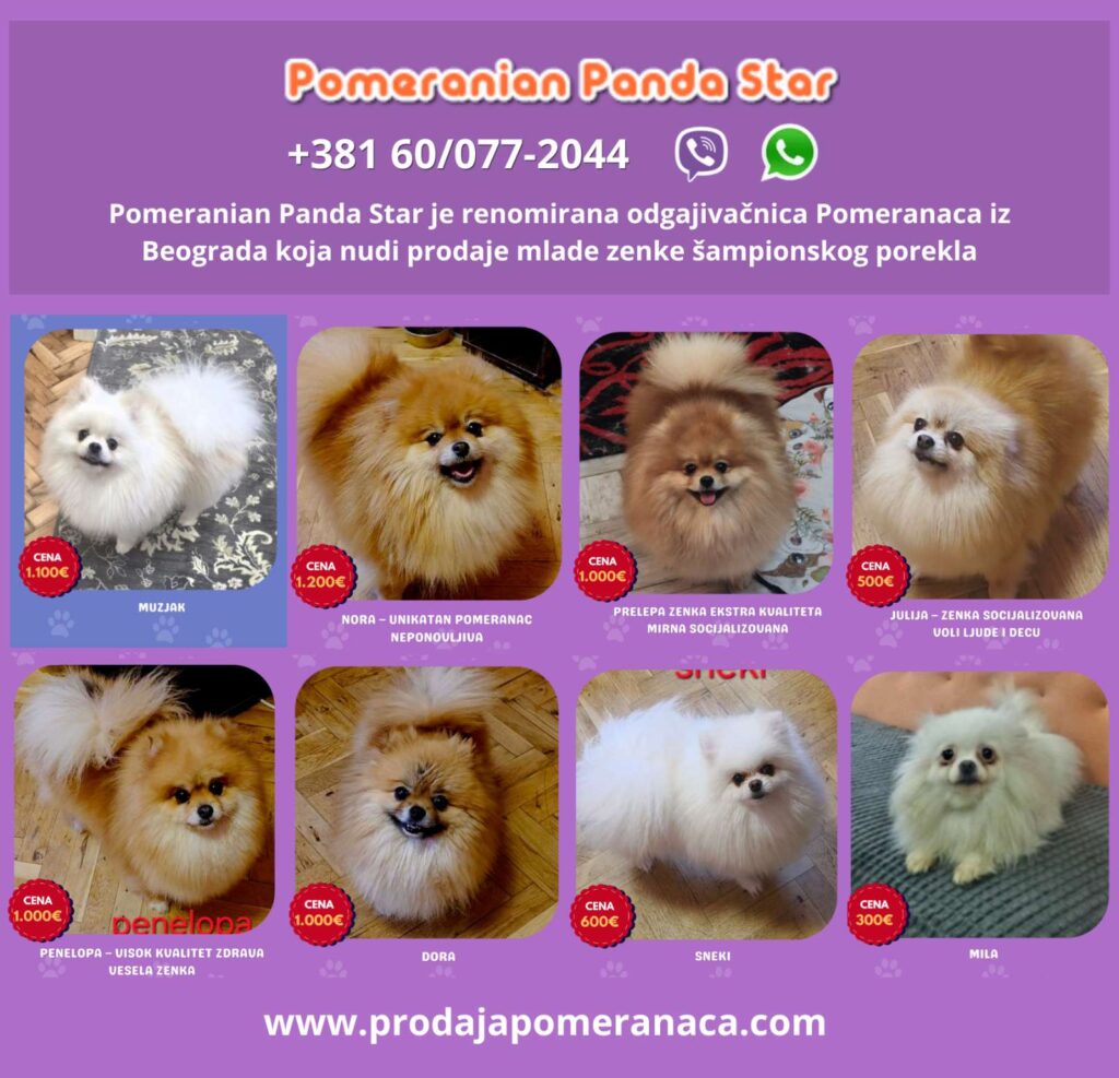 viber_image_2026-06-07_16-00-33-931-1