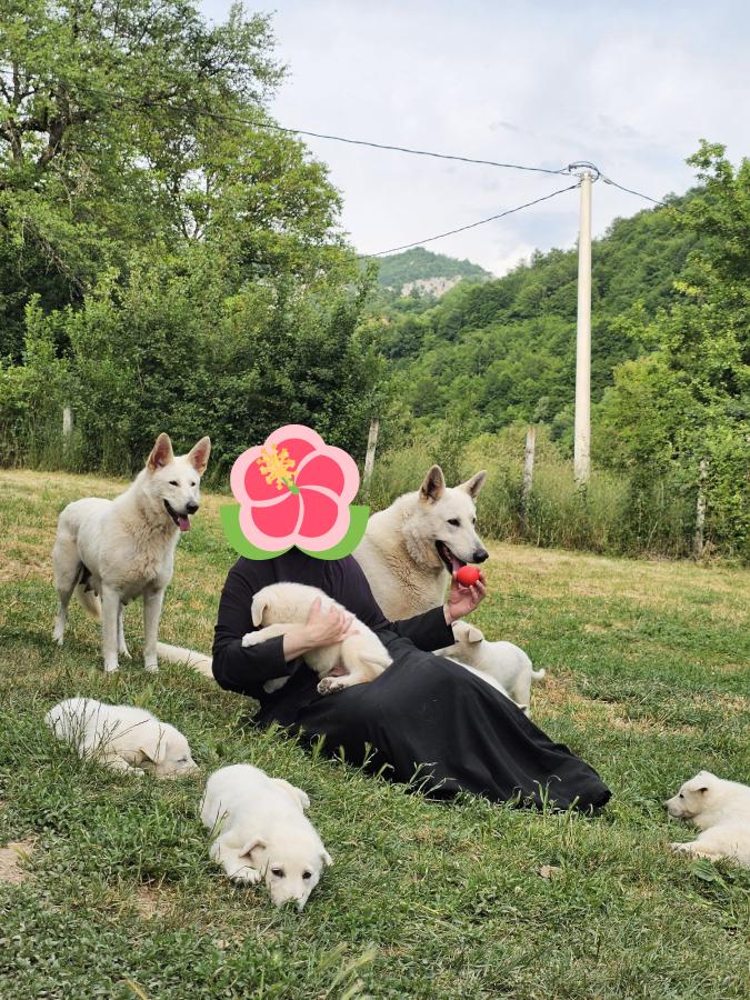 viber_image_2026-06-10_10-01-21-284