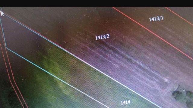 1000011297